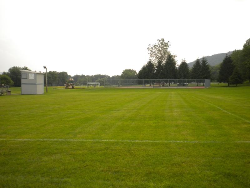 Viewing Image 13