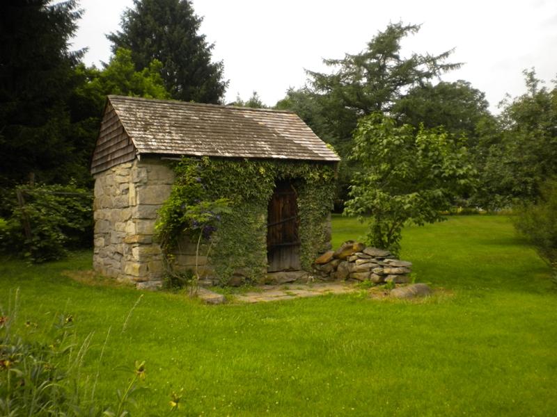 Viewing Image 4