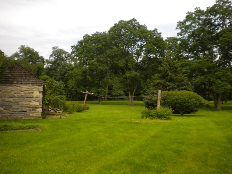 Viewing Image 6