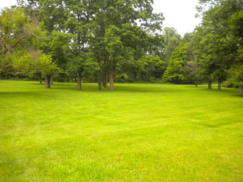 Viewing Image 8