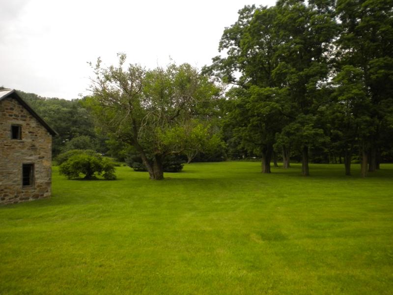 Viewing Image 9