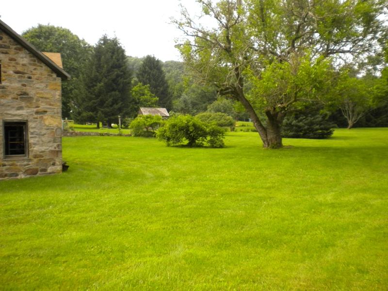 Viewing Image 10