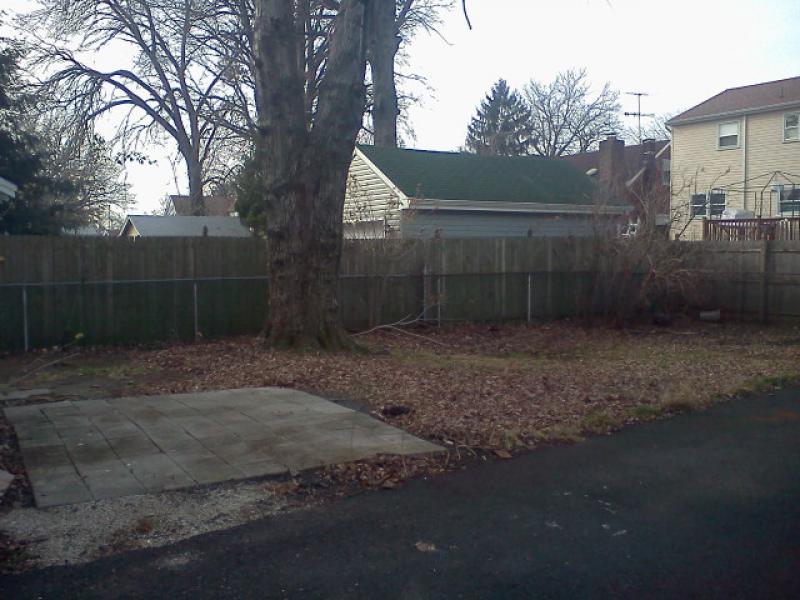 Viewing Image 2