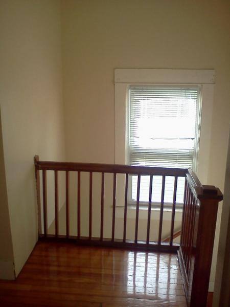 Viewing Image 5