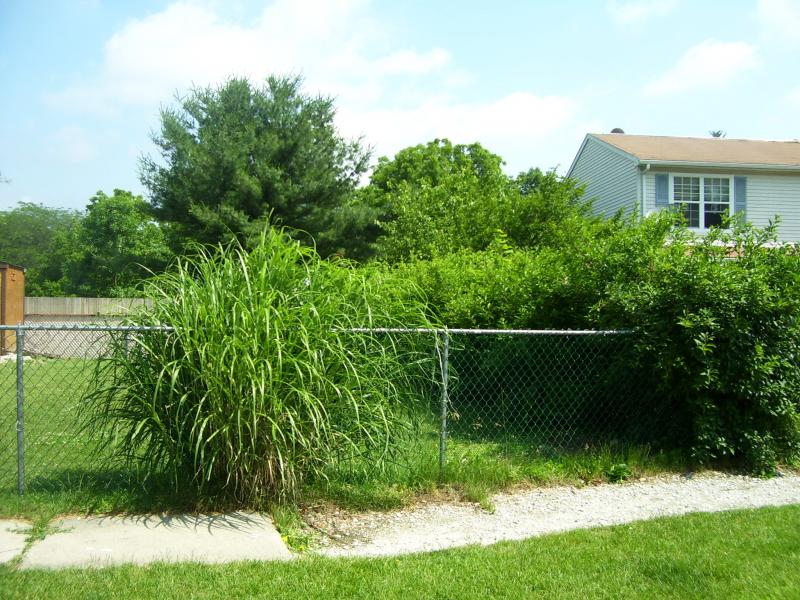 Viewing Image 6