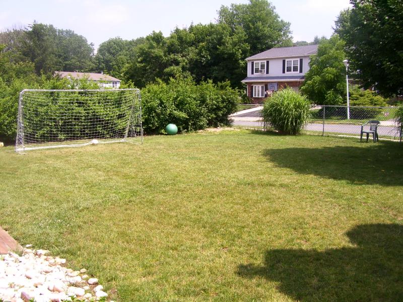 Viewing Image 7