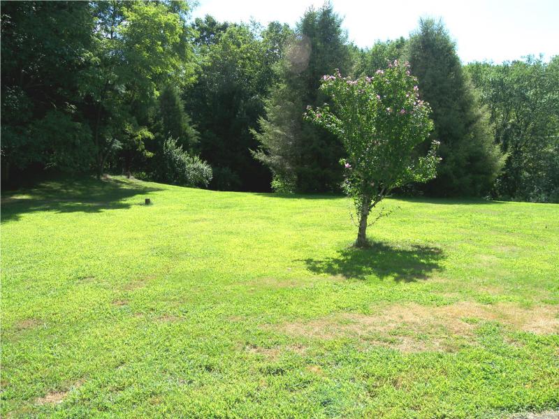 Viewing Image 11
