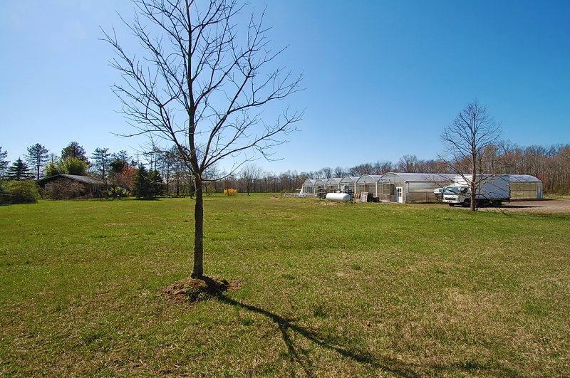 Commercial Property for Sale, ListingId:18441246, location: 198 Fitzer Rd Frenchtown 08825