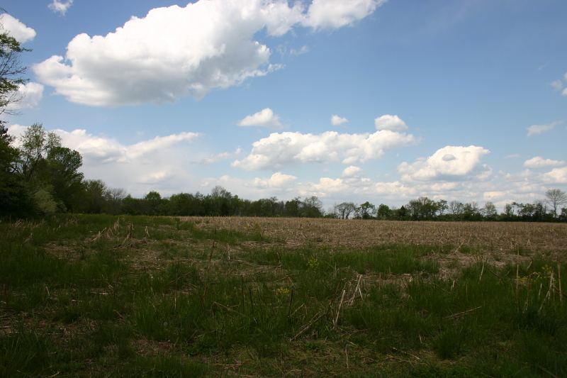 Land for Sale, ListingId:18884923, location: 157 Ridge Rd Frenchtown 08825