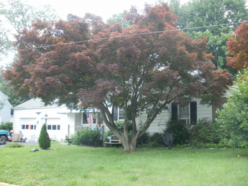 Single Family Home for Sale, ListingId:17011082, location: 2512 COLUMBIA AVE Ewing 08638