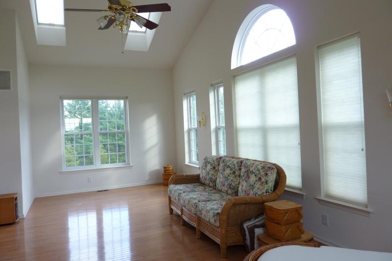 Viewing Image 11
