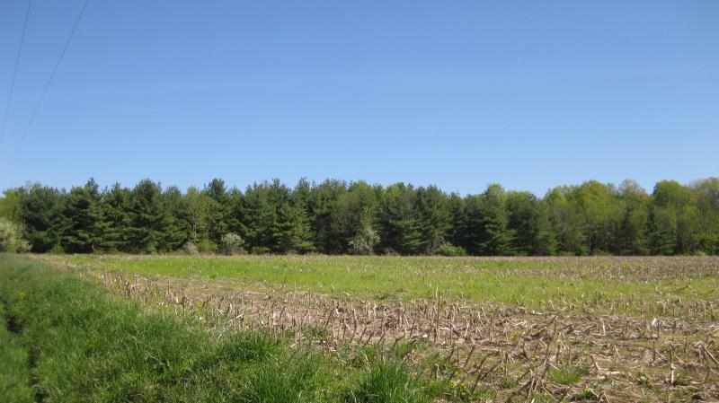 Land for Sale, ListingId:16720430, location: Lambertville 08530