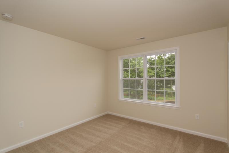 Viewing Image 12