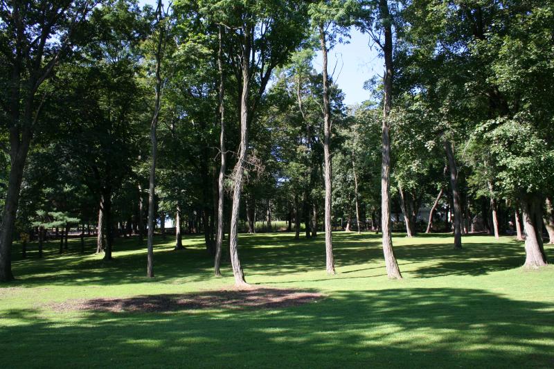 New Homes for Sale, ListingId:17289882, location: Bernardsville 07924