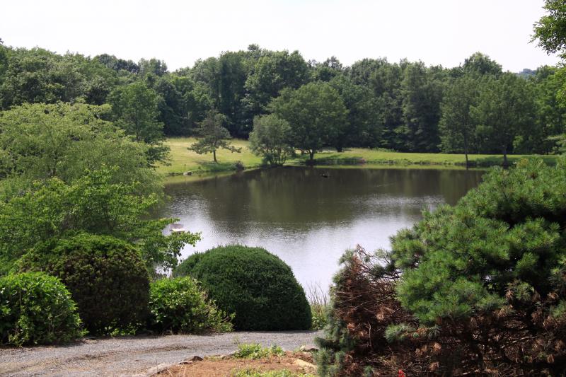 Viewing Image 14