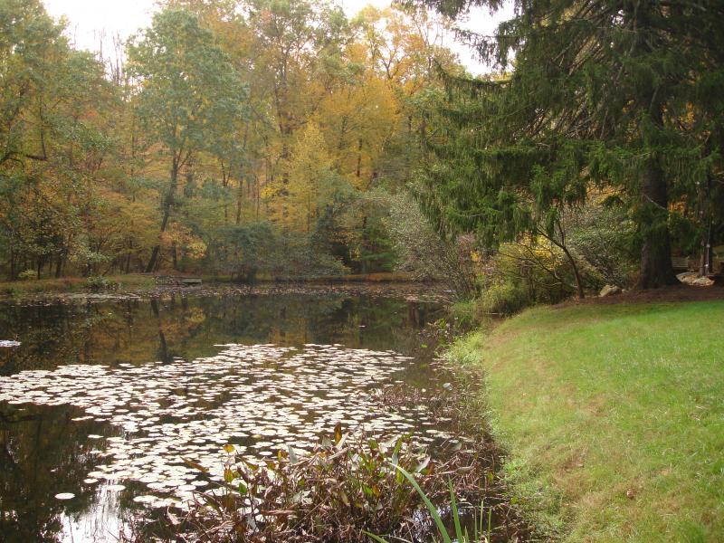 Viewing Image 20