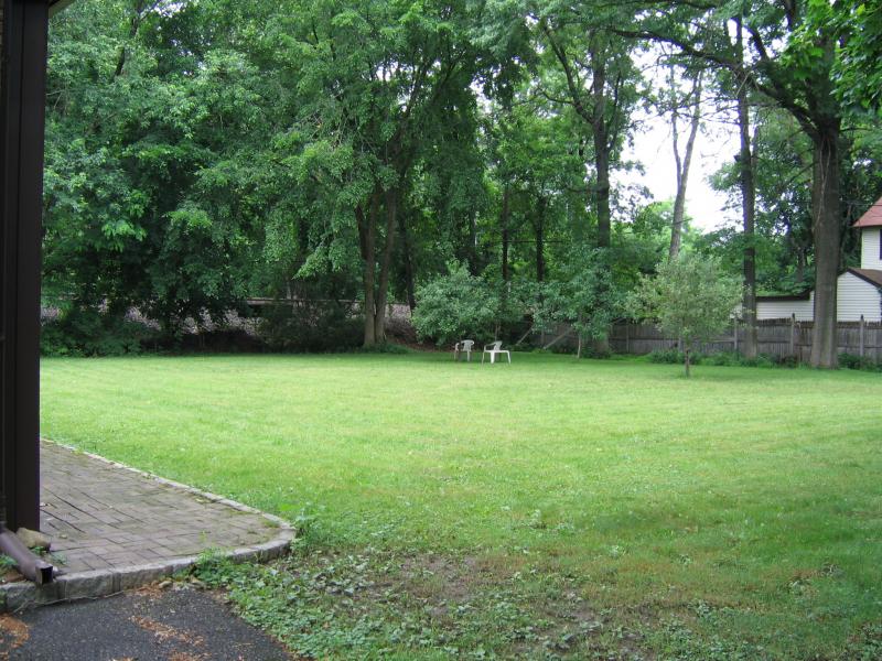 Viewing Image 14