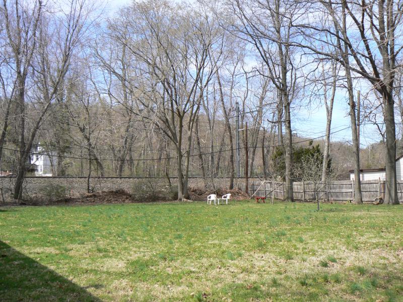Viewing Image 8