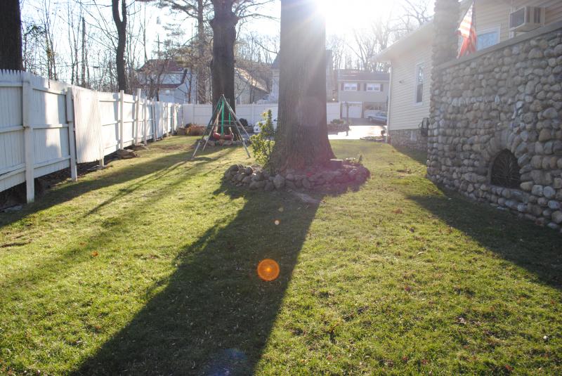 Viewing Image 11