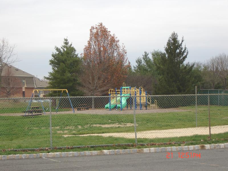 Viewing Image 12