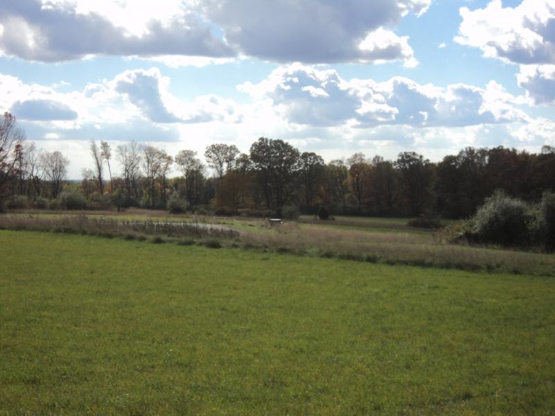 Viewing Image 11