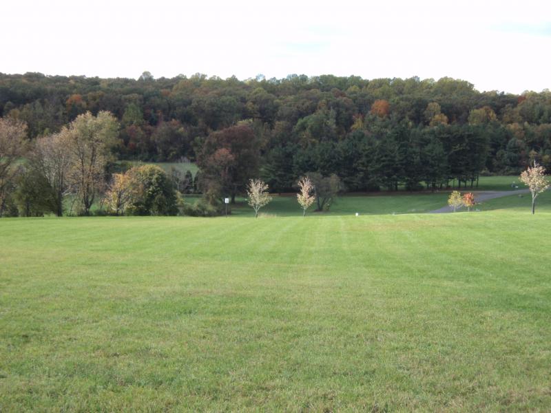 Viewing Image 5