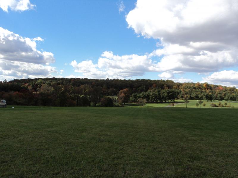 Viewing Image 6