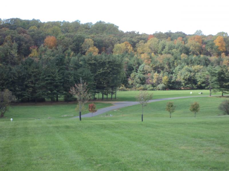 Viewing Image 7