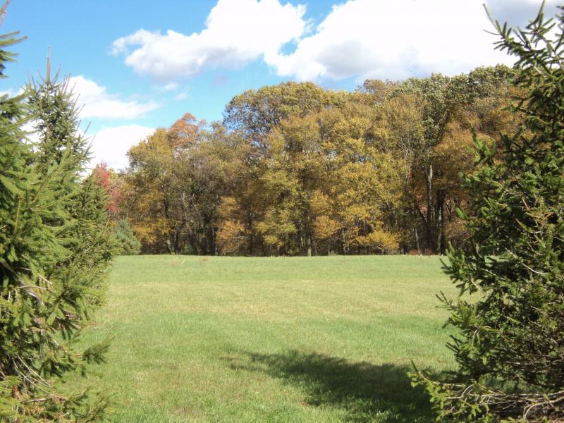 Viewing Image 8