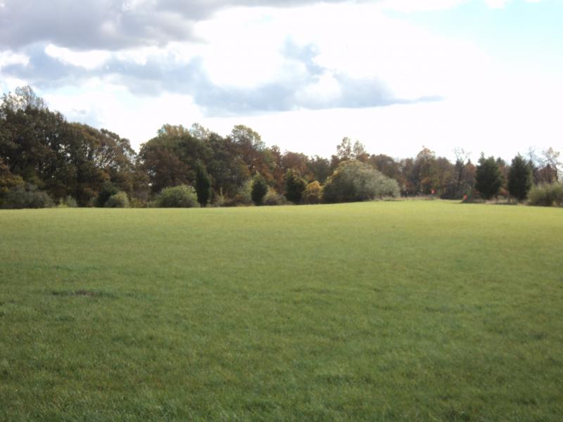 Viewing Image 9