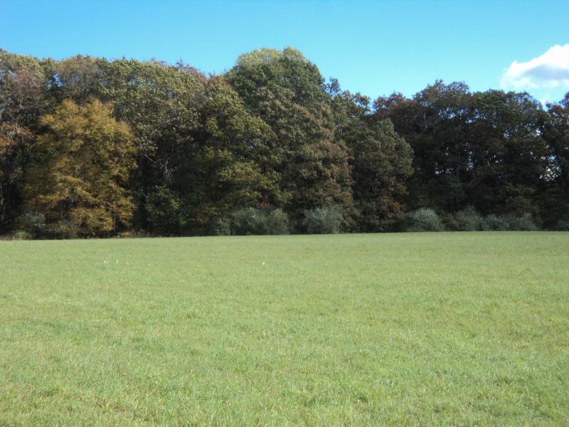 Viewing Image 10
