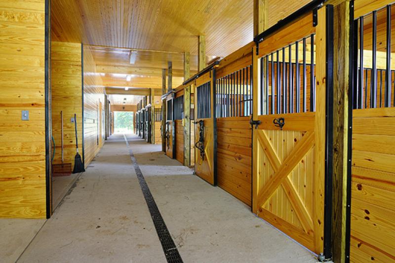 Viewing Image 24