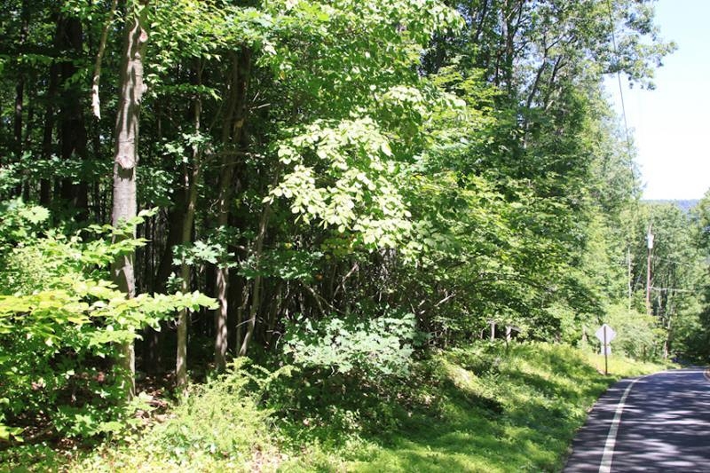 Land for Sale, ListingId:19058735, location: Hardwick 07825