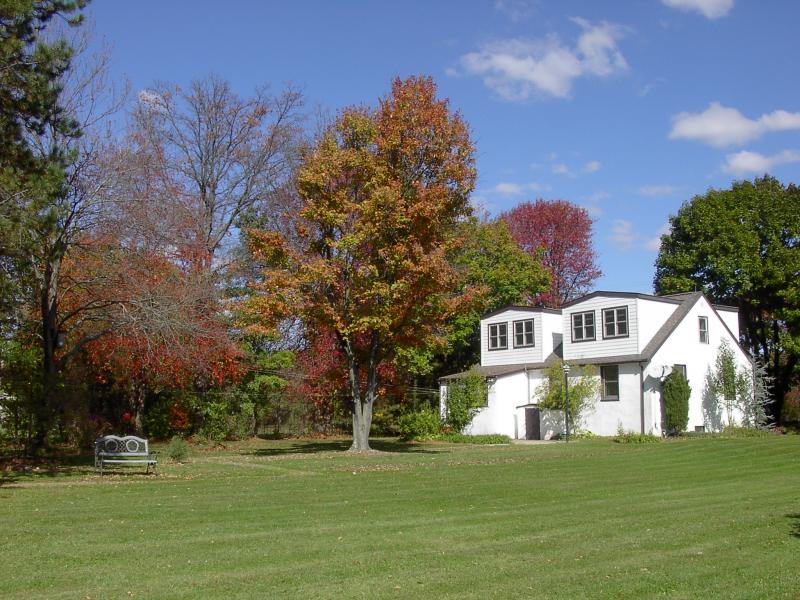 Viewing Image 16