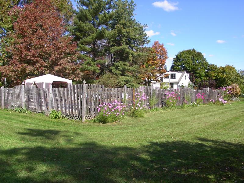 Viewing Image 22