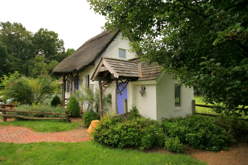 Viewing Image 14