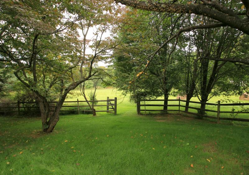 Viewing Image 16