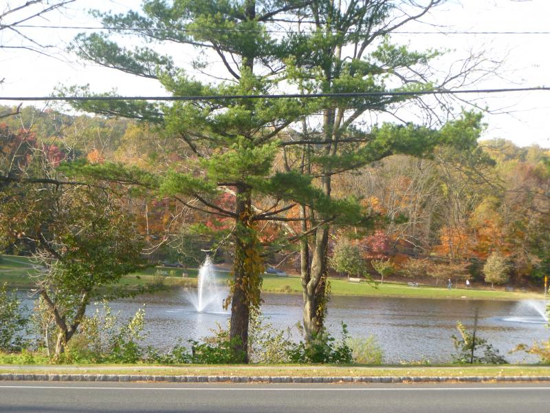 Viewing Image 2