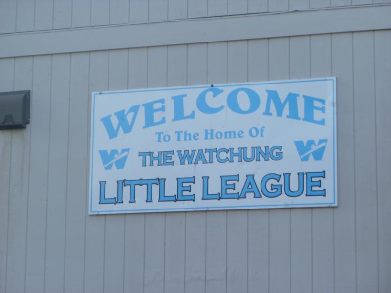 Viewing Image 11