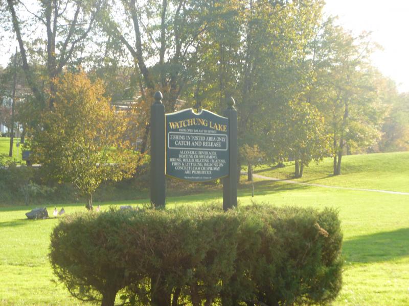 Viewing Image 7