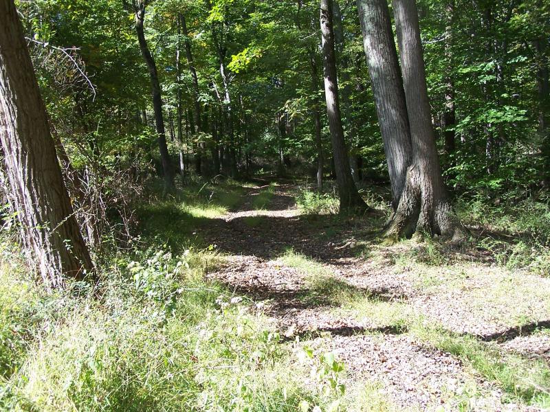 Viewing Image 13