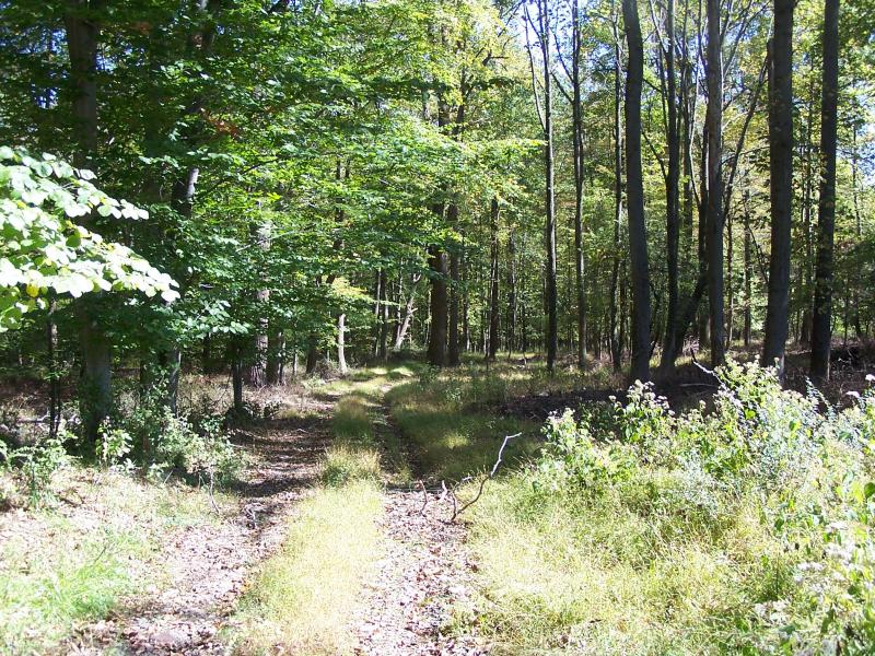 Viewing Image 14