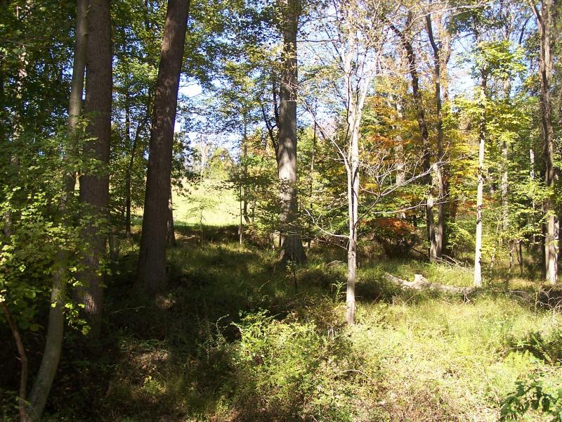 Viewing Image 15