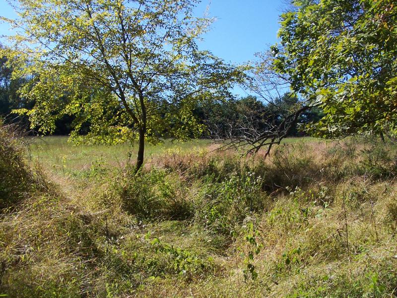 Viewing Image 16
