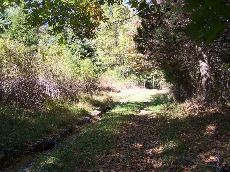 Viewing Image 4