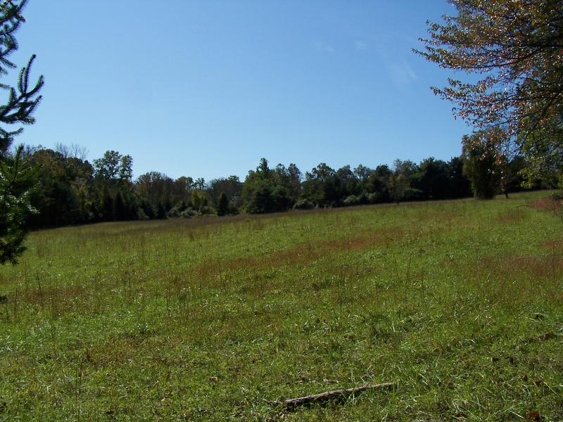 Viewing Image 5