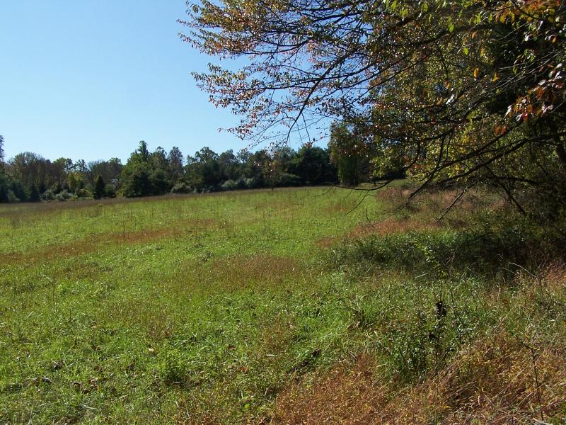 Viewing Image 6