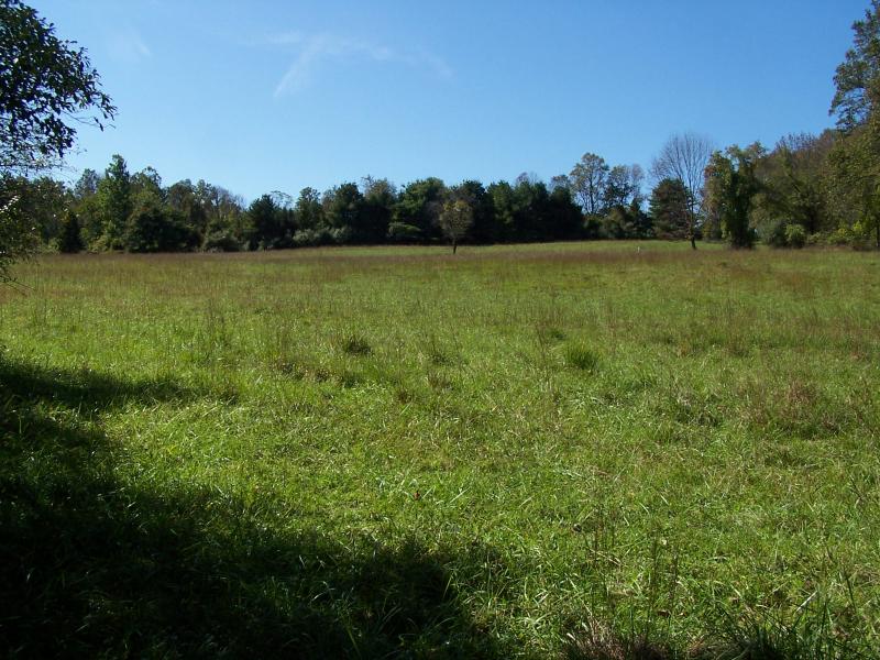 Viewing Image 7