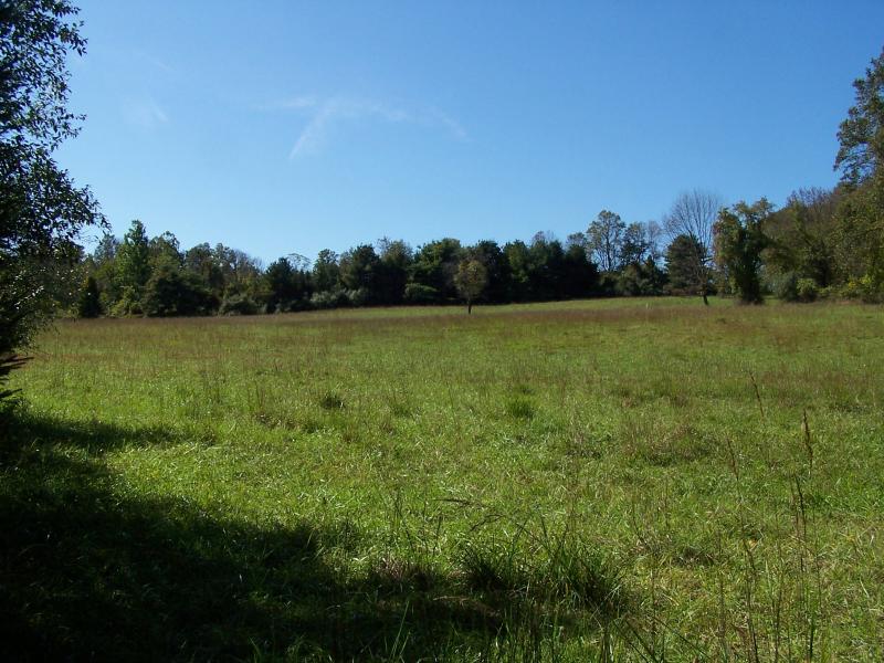 Viewing Image 8