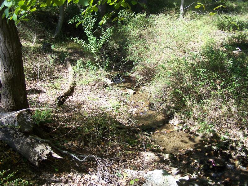 Viewing Image 10